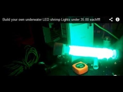 Build your own underwater LED shrimp Lights under 35.00 each!!!!