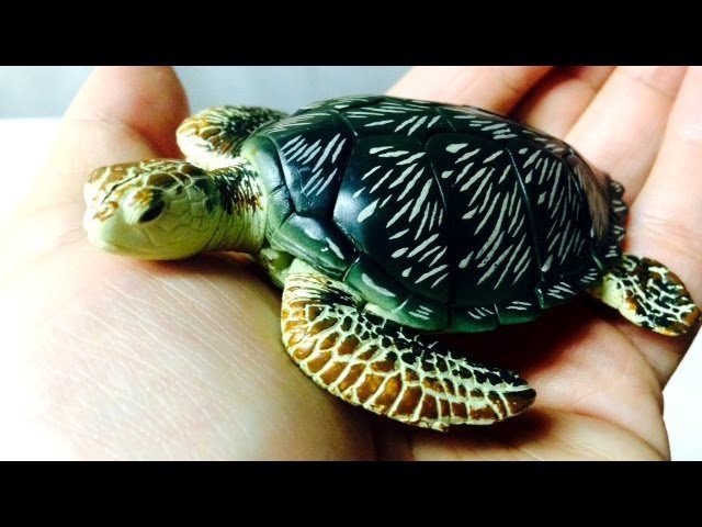 Green Turtle 3D Puzzle ~ Incredible Science