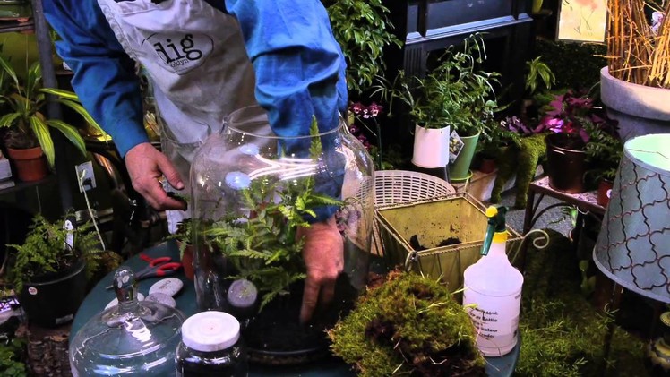 How to Make a Fern Moss Terrarium : Terrariums & More