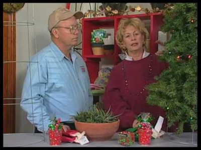 How To Make Christmas Trees From A Tomato Plant Cage