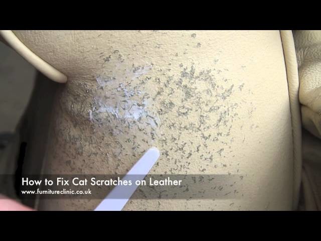 How To Repair Cat Scratches on Leather