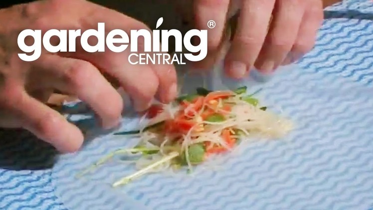 How to wrap rice paper rolls + cooking video - Vegetarian rice paper rolls recipe GardenChef