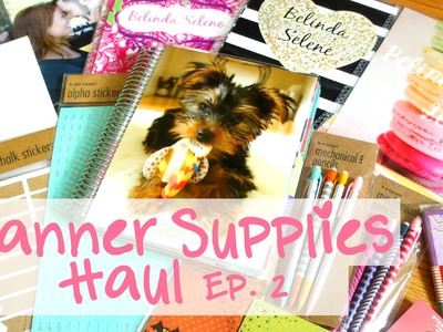 Planner Supplies Haul: EC Covers, Washi Tape, Sticky Notes | Ep.2