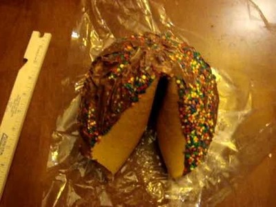 GIANT Fancy Fortune Cookie - Lucky in Costume -Taste Test