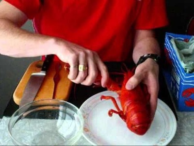 How to cook and shell a lobster