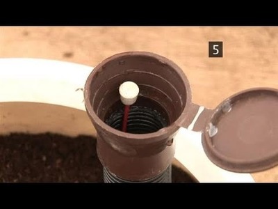 How To Create A Self-Watering Container