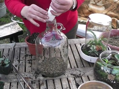 How to make a bottle terrarium