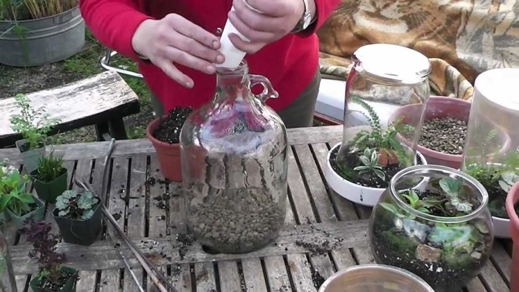 How to make a bottle terrarium