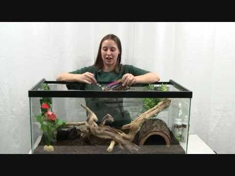 How to Set Up a Snake Enclosure