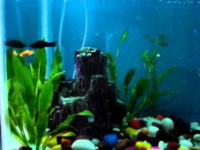 Make a nice air bubble wall for your fish tank at home.