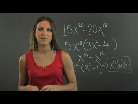 How to Factor a Polynomial With Large Exponents : Lessons in Math