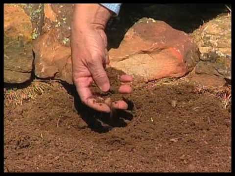How To Prepare A Flower Bed For Spring Part 1