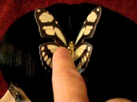 Motion Hair Butterfly Clip