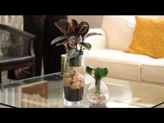 How to Decorate Using Seashells : Decorations for the House