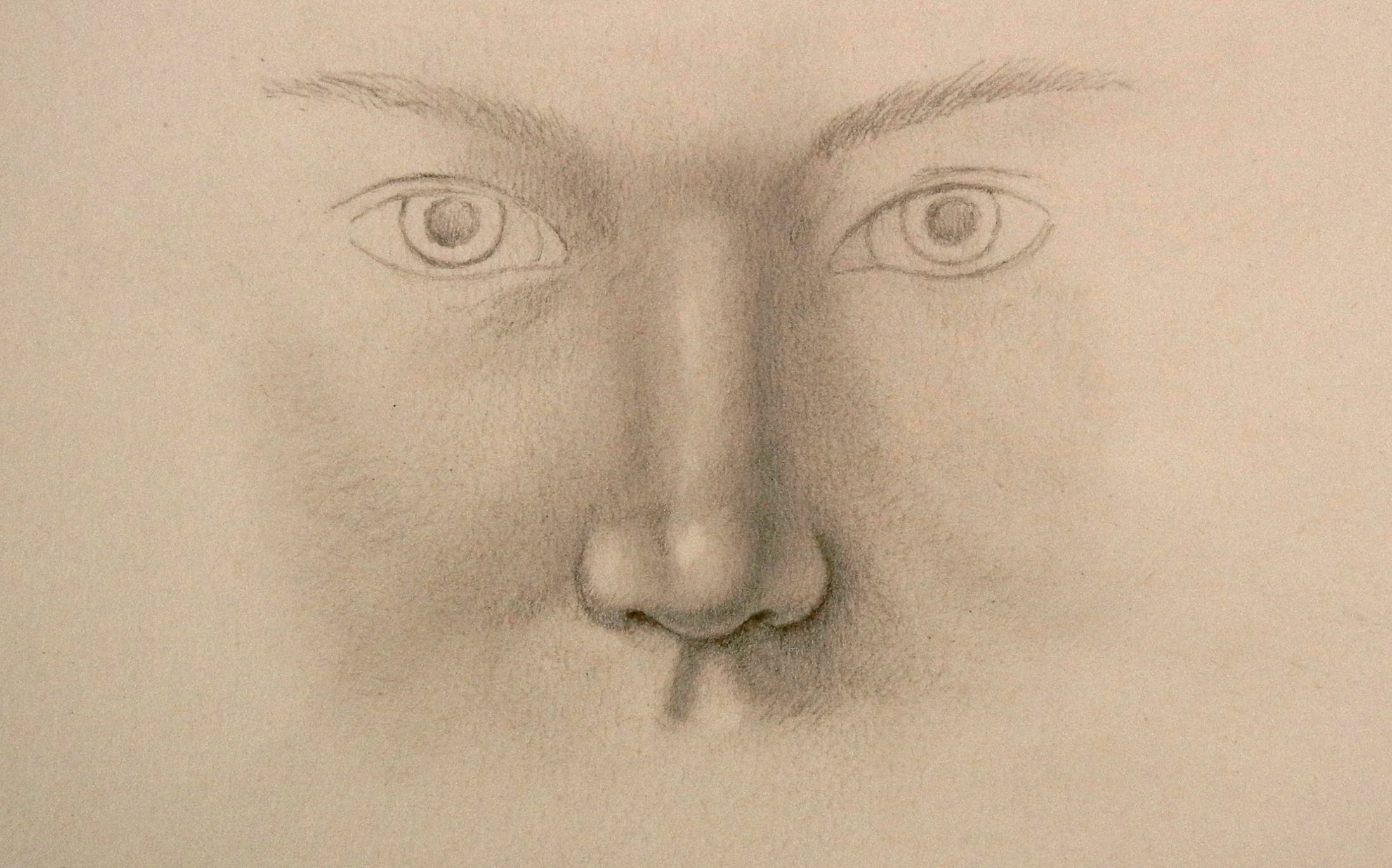 Портрет карандашом нос
