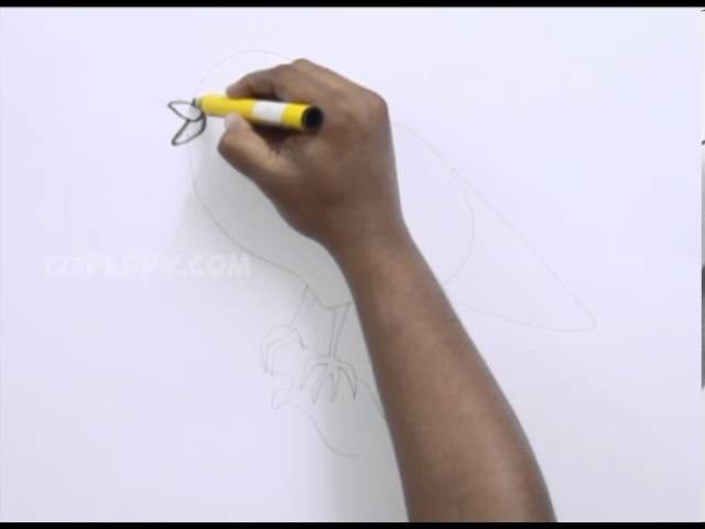 How to Draw a Songbird