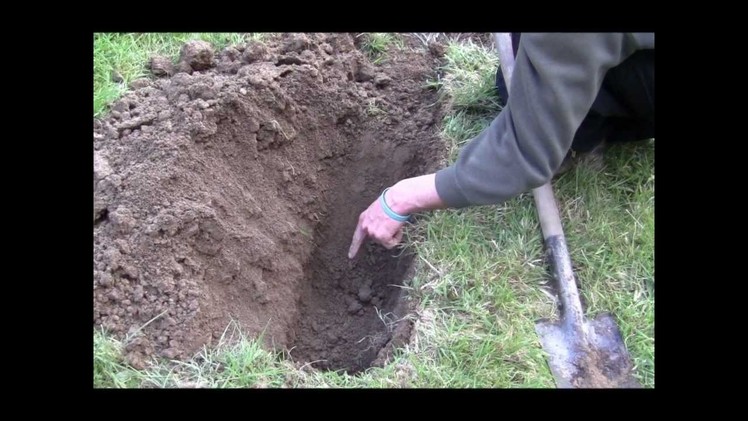 How to make a double dig vegetable bed