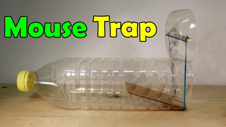 How to make a mouse trap - Homemade Trap