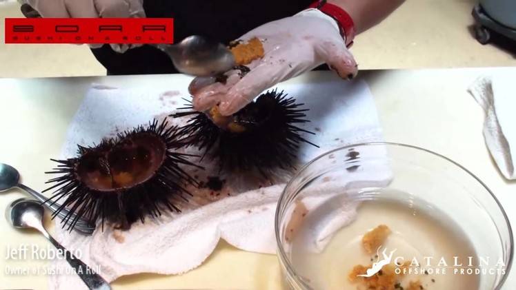 How to open and prepare Live California Sea Urchin Sushi