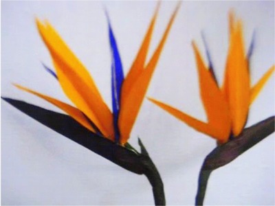 Paper Flower - Bird Of Paradise
