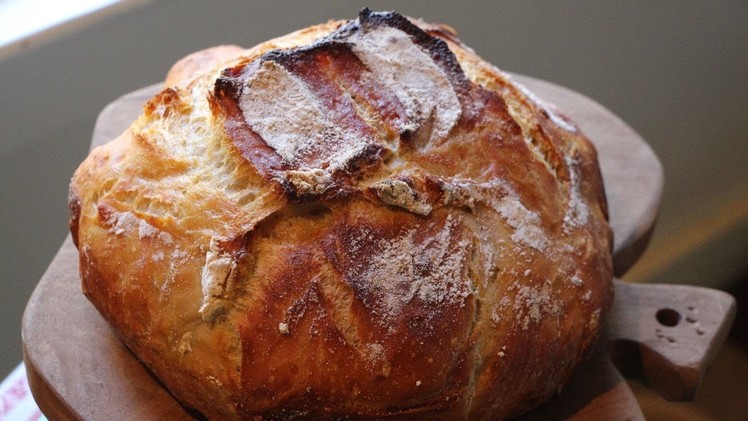 Artisan Bread in Five minutes a day Easy Bread Recipe : GardenFork.TV