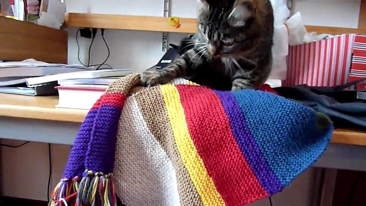 Cat kneading my "Doctor Who" scarf