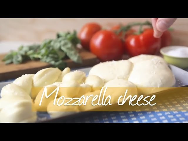 How to make mozzarella cheese - Allrecipes.co.uk