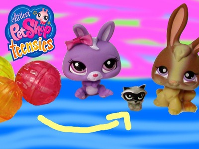 LPS Teensies Tiny Small Littlest Pet Shop Series Collection Opening Unboxing Cookieswirlc