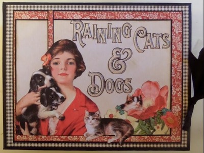 Raining Cats and Dogs Album Graphic 45