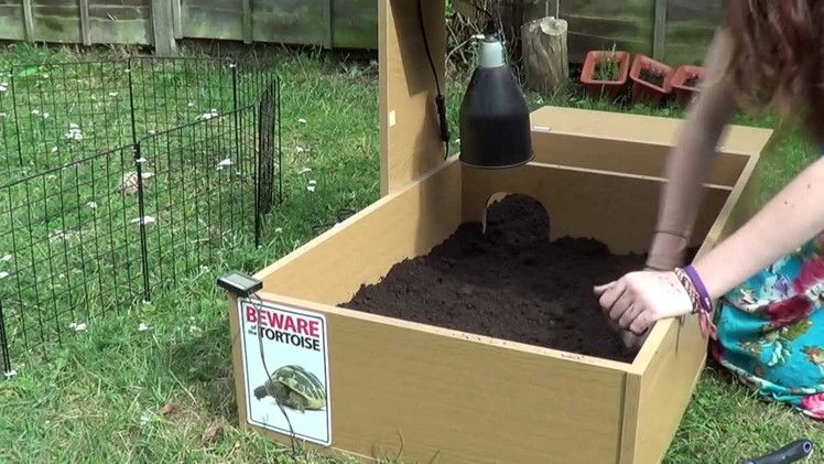 Setting Up A Mediterranean Tortoise Enclosure