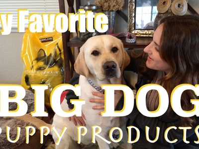 TAY'S HOMEMADE | My Favorite {Big Dog} Puppy Products!
