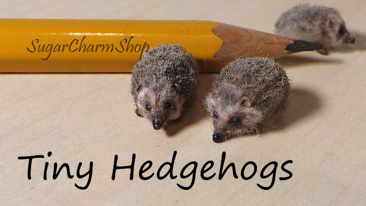 Tiny Cute Hedgehog Polymer Clay Tutorial - Bonus Video :)