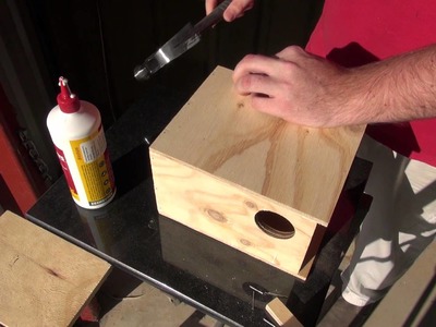 How To: Build a Budgie Nest Box | BirdSpyAus