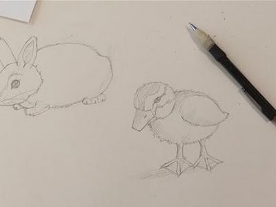 How To Do Drawings Of Baby Animals