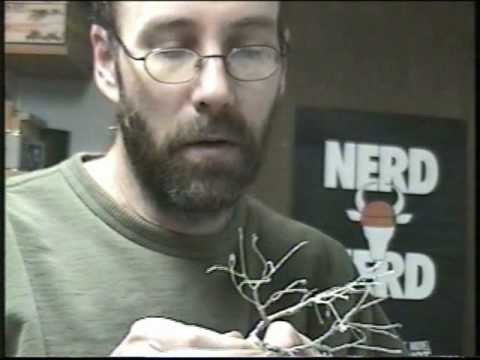 Part 7 of Making trees - wire twist trees - trunk options