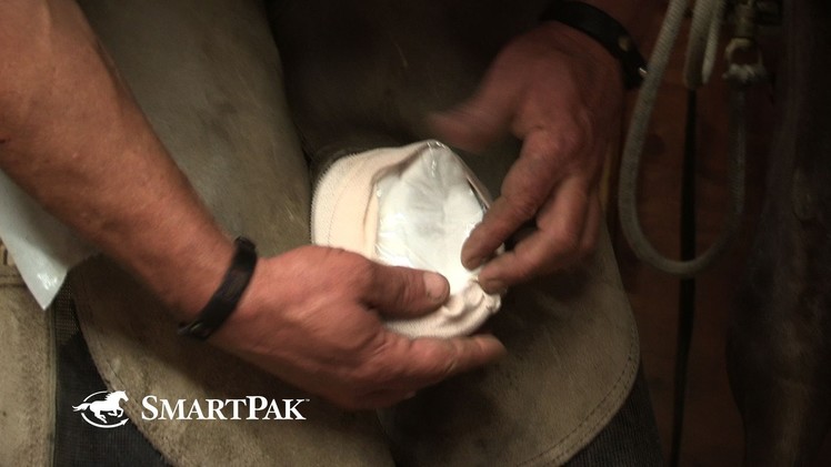 The Smart Way to Wrap Your Horse's Hoof