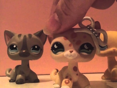 LPS: Clay Crafts Introduction