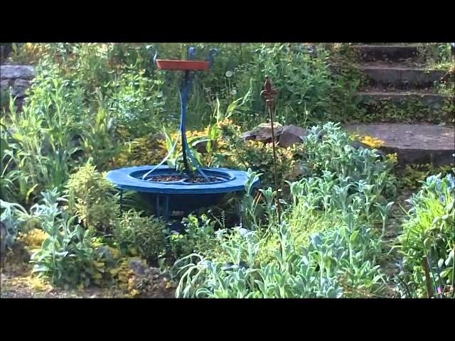 Minerva's Garden:  From Firepit To Focal Point--Inexpensive Recycled Gardening DIY