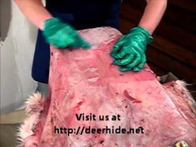 Deer hide tanning easy as Aa Bb Cc hide tanning part a