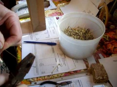 Nancy Today: Replacing wire in a Porcupine quill earring