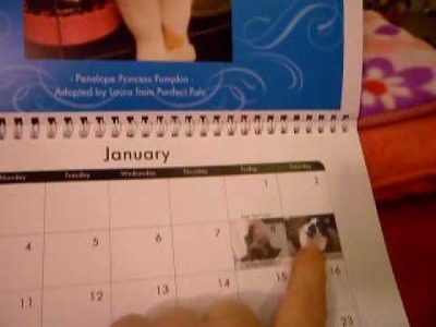 Review: Walgreens photo calendars - BIG thumbs up!