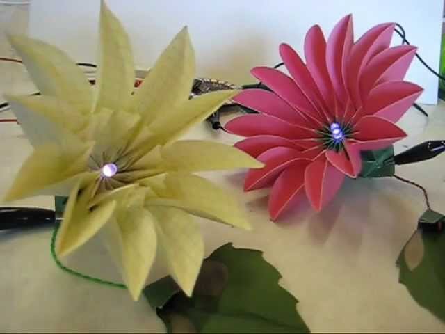 Blooming paper flowers