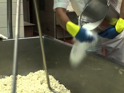 Cow to Cracker: Making Cheese at the University of Minnesota