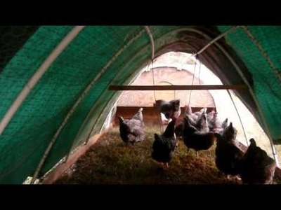 How I Built Our Chicken Tractor Part II