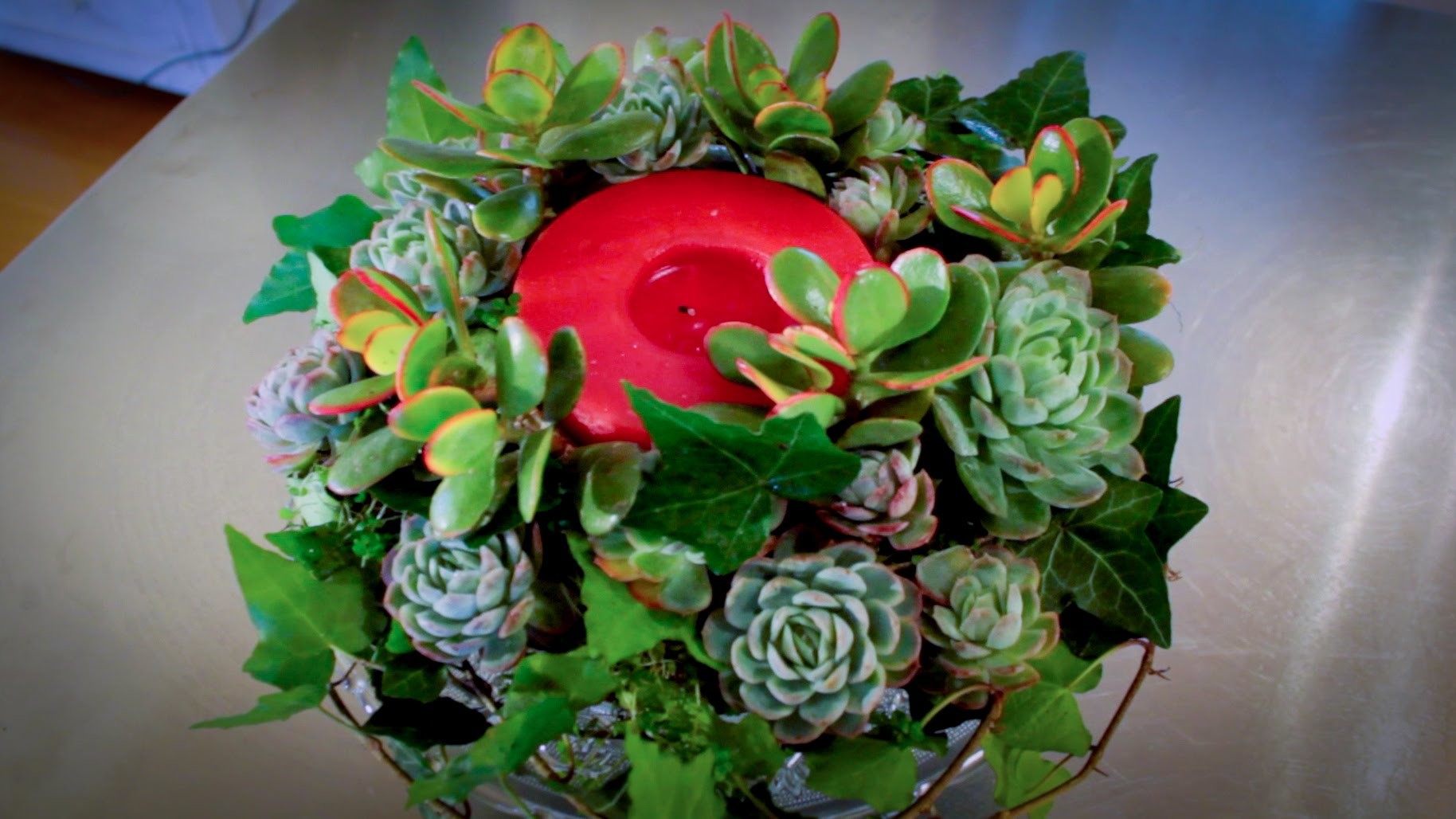 How to Make a Succulent Wreath Floristry Tutorial