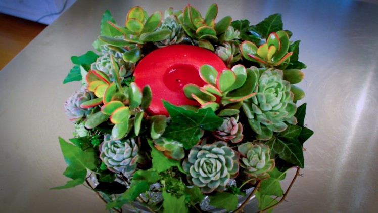 How to Make a Succulent Wreath Floristry Tutorial
