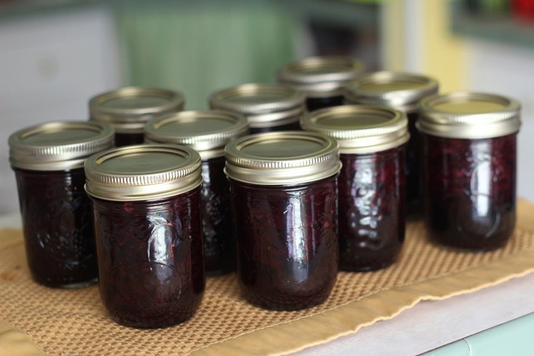 How to Make Blueberry Jam- LOW SUGAR RECIPE
