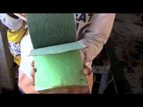 How to Make Paper Out of Elephant Poop Thailand