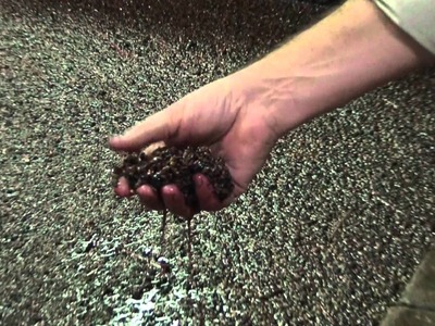 How to make Port wine: Fermentation & Fortification