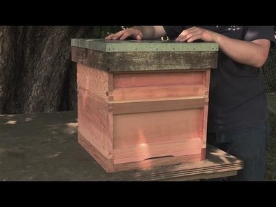 How to Make your Own Beehive